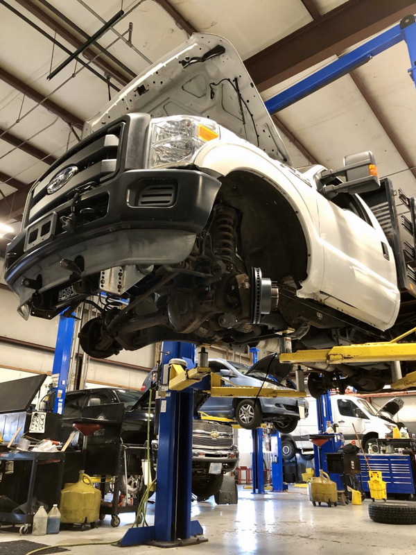 Commercial and Fleet Commercial and Fleet